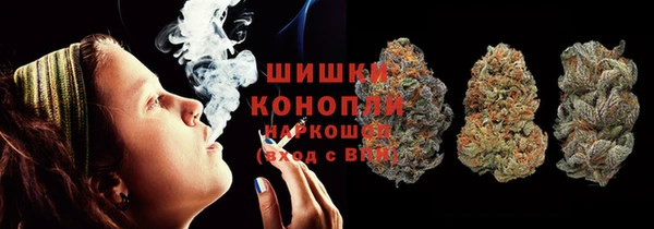 эйфоретик Бородино