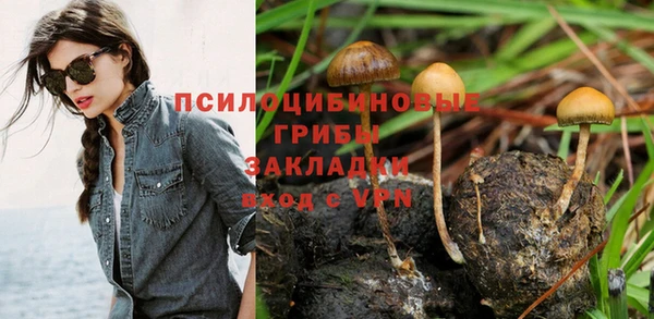 трава Бугульма