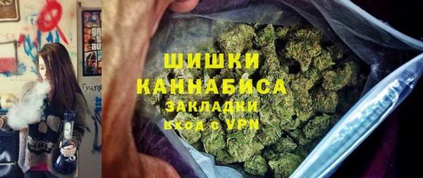 СК Бронницы