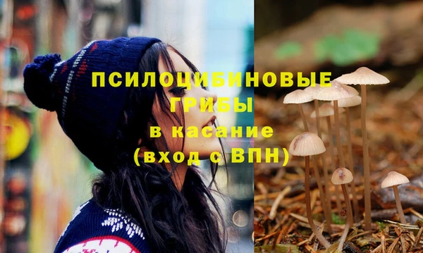 СК Бронницы