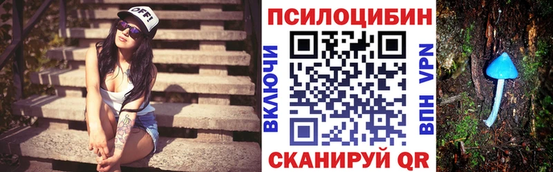 Галлюциногенные грибы Cubensis  Купить закладки  Советская Гавань 