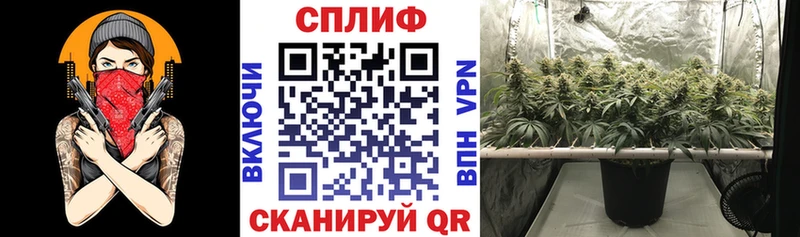 Канабис сатива  Купить где  Советская Гавань 